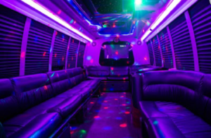Kingston Limo Service and Party bus rentals